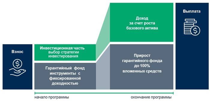 Zarys programu