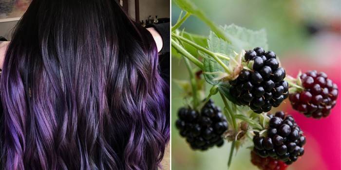Cabelo de amora