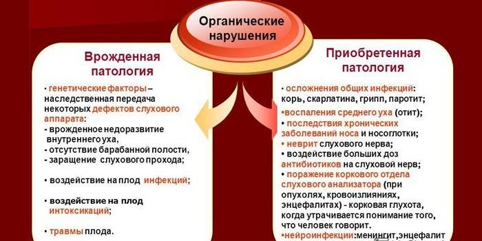 Zaburzenia organiczne - wrodzone i nabyte
