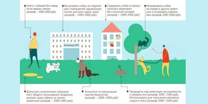 Sankcie za porušenie