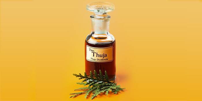 Thuja olej vo fľaši