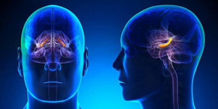Patologia da glândula pineal