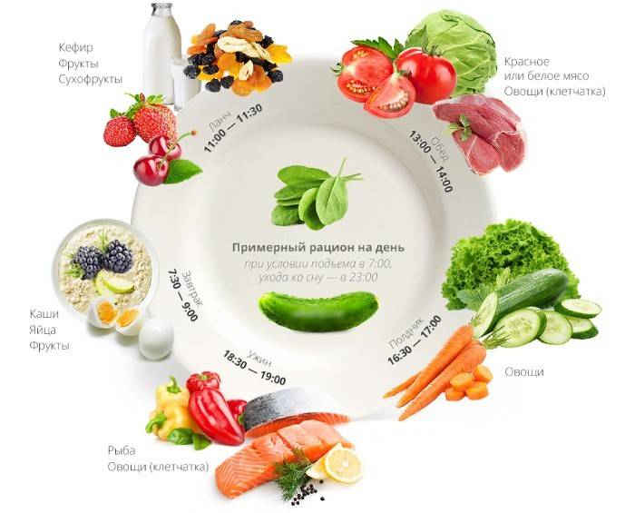 Horas de refeição e produtos