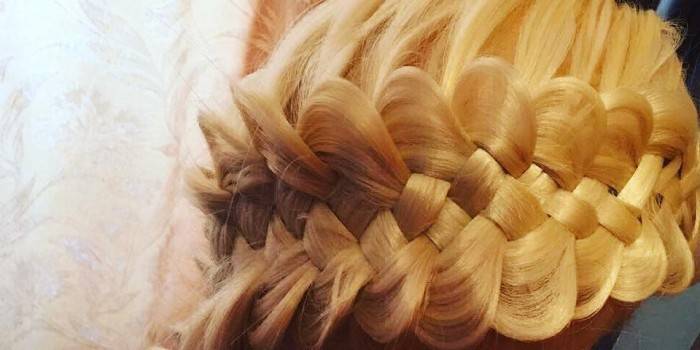 Pigtail z 5 pasm