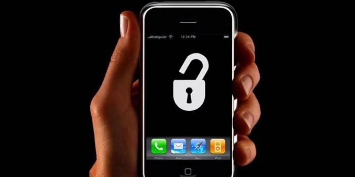 Smartphone v ruke