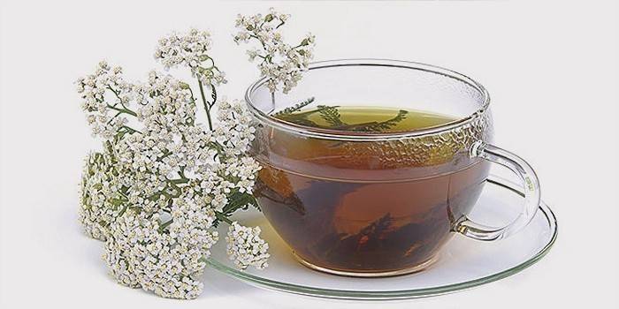 Caldo Yarrow