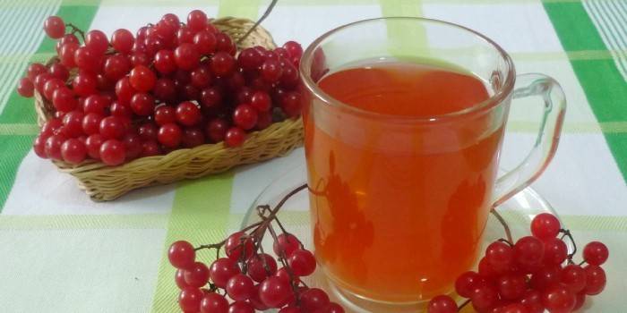 Viburnum čaj