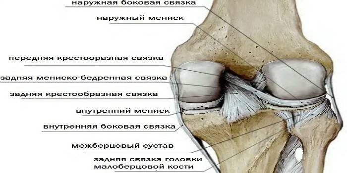 Staw kolanowy