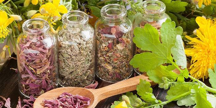 Ervas medicinais em frascos e uma colher de pau
