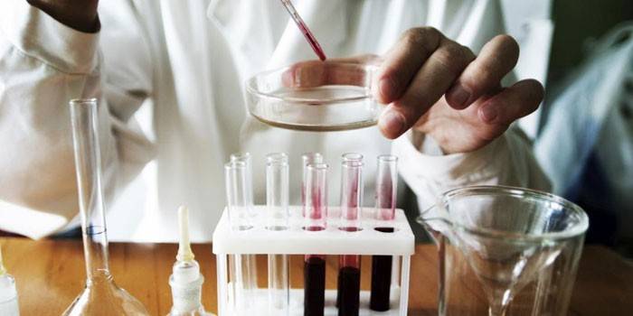 Laboratórny technik kvapkajúci krv do Petriho misky