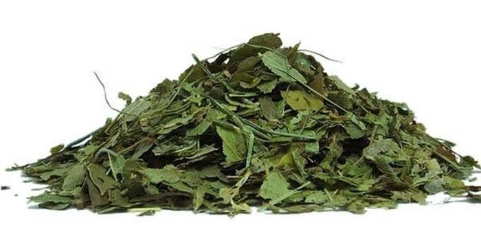 Acedera seca