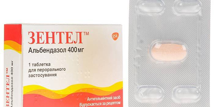 Zentel em uma bolha