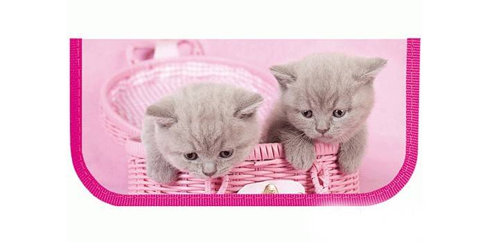 Para meninas com gatinhos