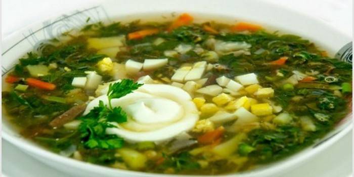 Borsch verde dietético con acedera