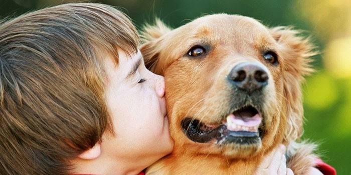 Menino beija um cão
