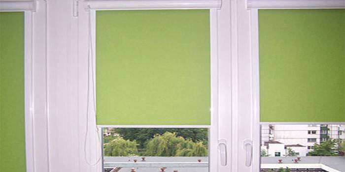 Luz cortinas de rolo verdes nas janelas de Santa Uni