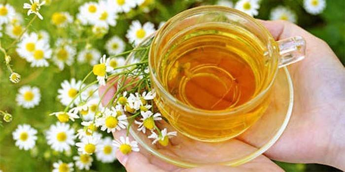 Taza con caldo y flores de manzanilla