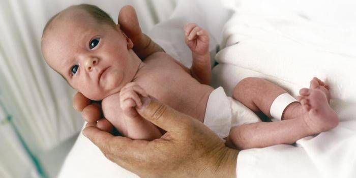 Recém-nascido nas mãos de um médico
