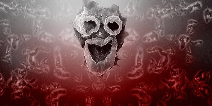 Ameba derrotada por Negleria Fowler