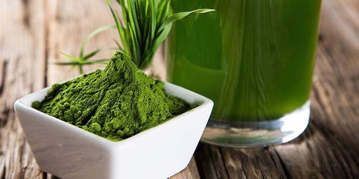 Spirulina w proszku i roztwór