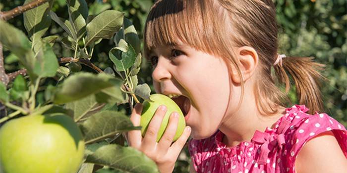 Niña comiendo una manzana de una rama