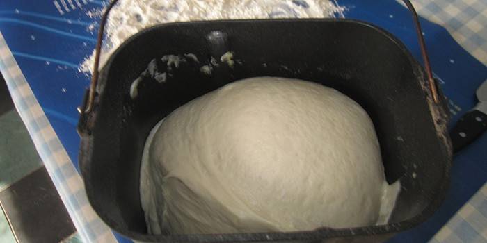 Massa pronta em um recipiente para uma máquina de pão