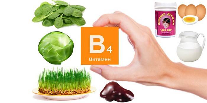 Výrobky vitamínu B4