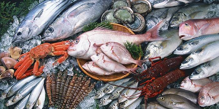 Peixe fresco e marisco
