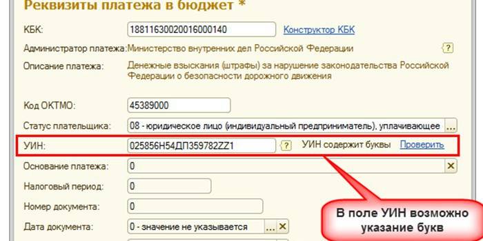 Pole UIN dotyczące płatności elektronicznych