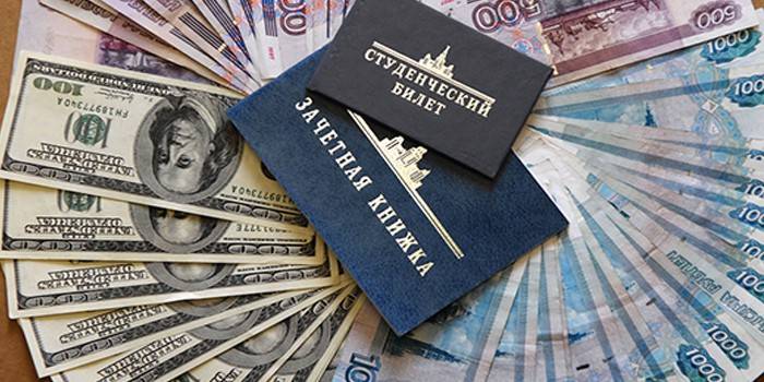 Cartão de identificação do estudante e livro de notas