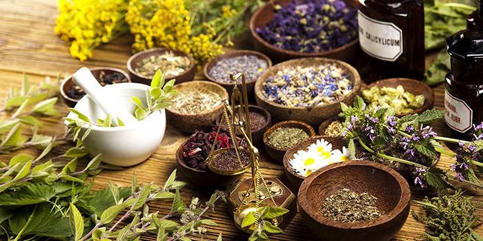 Ervas medicinais