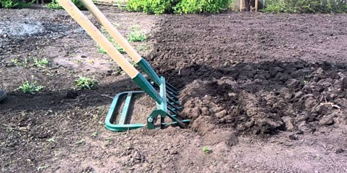 Pala para la perezosa Super Excavator-7 en acción