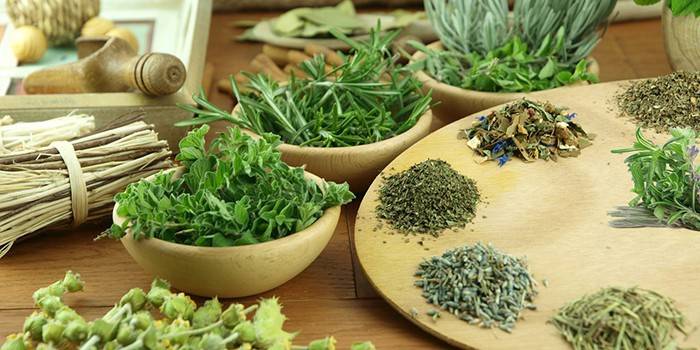 Ervas medicinais