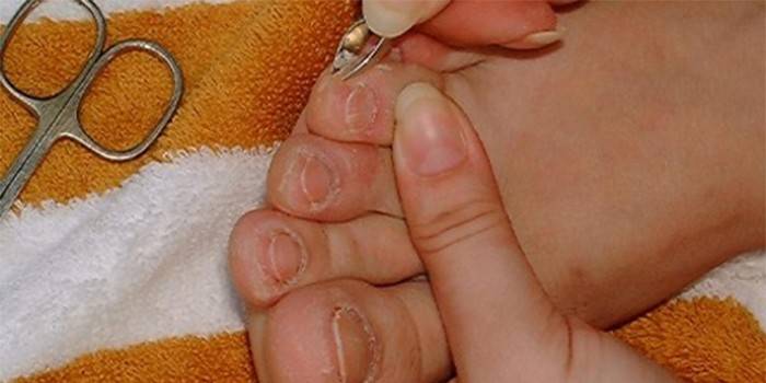 O mestre faz pedicure