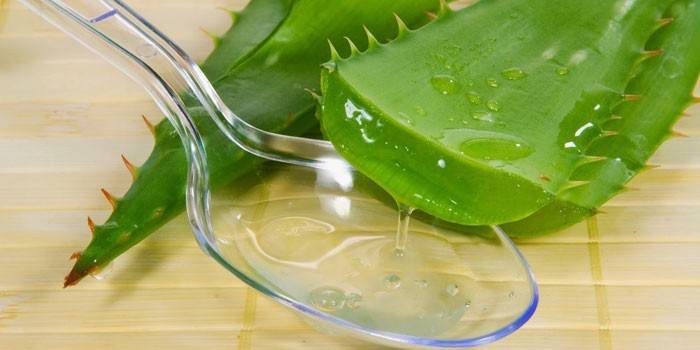 Aloe a lyžica s aloe šťavou