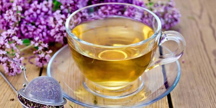 Um copo com infusão de orégano