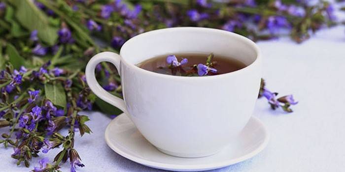 Taça com infusão e salva de flores