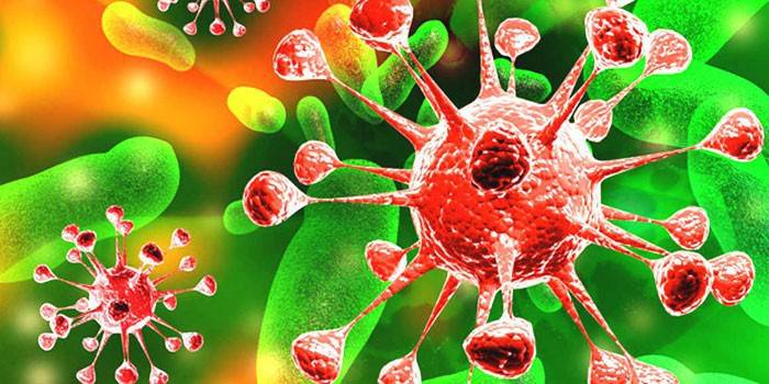 Virus bajo el microscopio