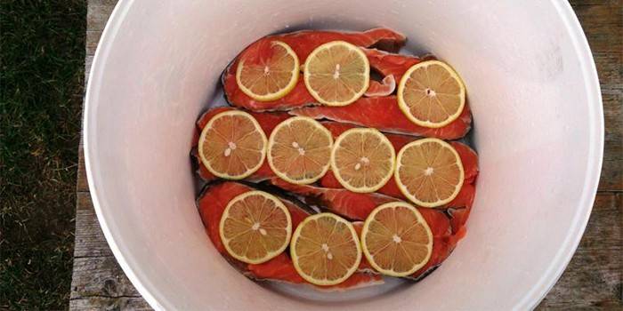 Pescado rojo bajo la marinada con limón