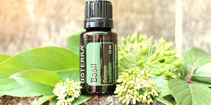 Aceite esencial de albahaca
