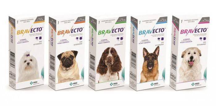 Balenie tabliet pre psov Bravecto