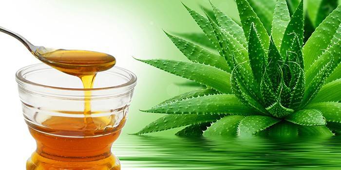 Jar s medom a aloe Bush