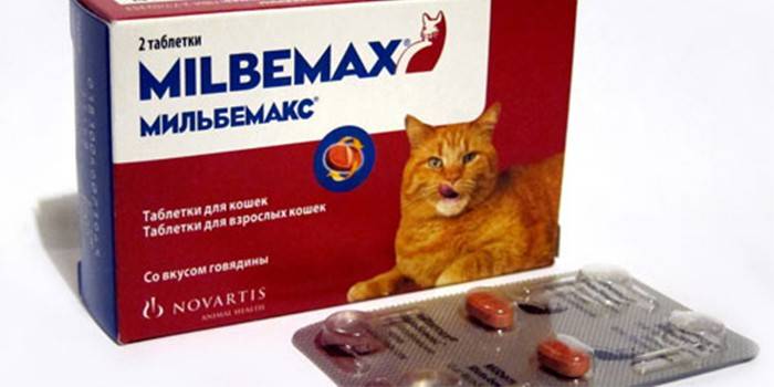 Tabletki dla kotów Milbemax w opakowaniu