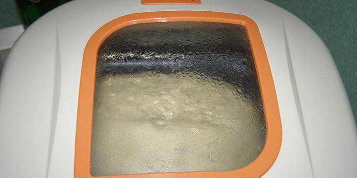 Máquina de pão amassa a massa