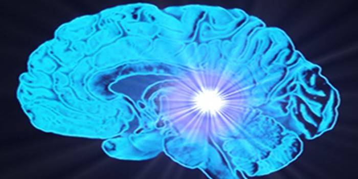 A localização da glândula pineal no cérebro