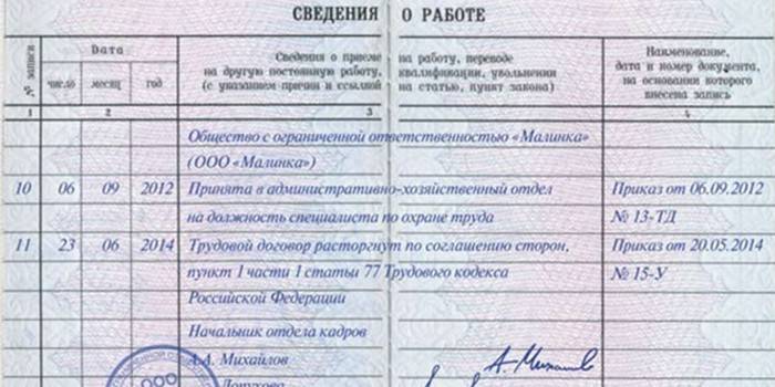 Przykładowy zapis zatrudnienia