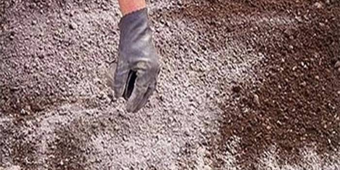 A introdução da farinha de dolomite no solo