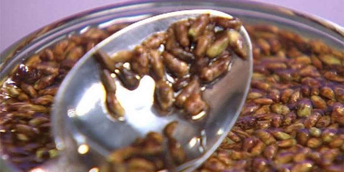 Brotos de bétula em um recipiente de água e uma colher de sopa