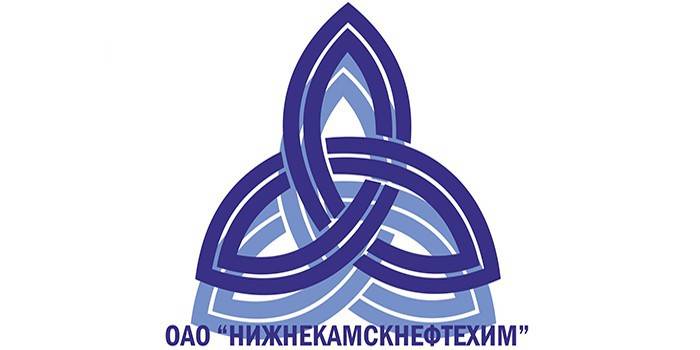 Logotipo da empresa Nizhnekamskneftekhim