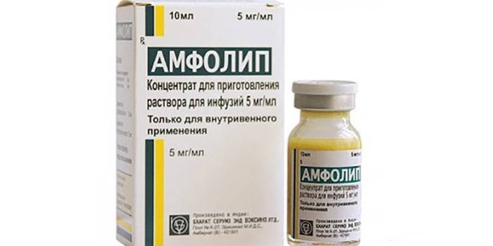 Ampholip en el paquete